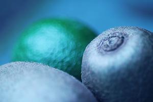 埼玉県さいたま市エリアの結婚式場「ベルヴィ武蔵野」の魅力と特長