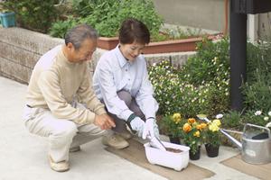 婚活で成功しない方はDNA婚活の方法を